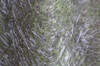 Heaverham fibreglass roof work